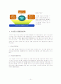 이마트 (품질경영) 19페이지