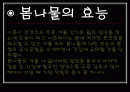봄나물의 효능과 요리법 2페이지