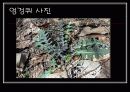 봄나물의 효능과 요리법 20페이지