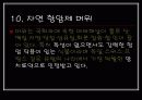 봄나물의 효능과 요리법 21페이지