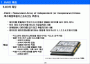 RAID란 무엇인가? 2페이지