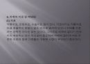 노인치매 정신보건복지연구 10페이지