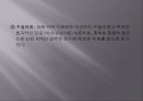 노인치매 정신보건복지연구 13페이지
