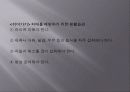 노인치매 정신보건복지연구 16페이지