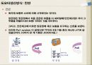 도요타생산방식(TPS)에 대하여 5페이지