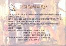 중세 말기의 복식 5페이지