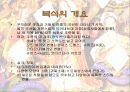 중세 말기의 복식 6페이지