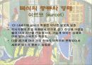 중세 말기의 복식 12페이지