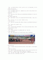 화순고인돌 축제 7페이지