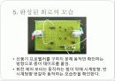 [전자회로]DC모터를 이용한 선풍기 구현 보고서 12페이지