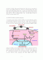 바이러스학 (Virology) 7페이지
