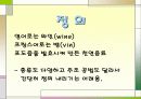 프랑스문화, 와인에 대해서 3페이지