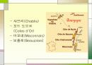 프랑스문화, 와인에 대해서 14페이지