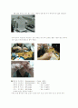  생화학실험 (단백질 분리에서 Dialysis) 2페이지