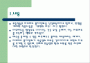 무하마드만평사태 ppt 2페이지