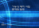 기능성패치사업문제점발표자료 1페이지