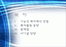 기능성패치사업문제점발표자료 2페이지