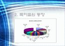 기능성패치사업문제점발표자료 4페이지