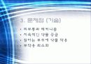 기능성패치사업문제점발표자료 5페이지