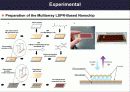 나노소재설계프로젝트- LSPR을 이용한 단백질 검출 - Nanoparticle Layer Nanochip (LSPR) 4페이지