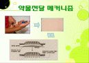 사업계획서-중간발표 3페이지