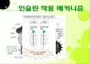 사업계획서-중간발표 4페이지