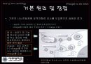 Nanoparticle을 이용한 DDS 12페이지
