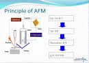 AFM을 통한 표면분석 4페이지