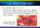 [생체소재화학]나노 바이오 DDS (나노미사일) 4페이지