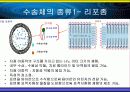 [생체소재화학]나노 바이오 DDS (나노미사일) 9페이지