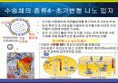 [생체소재화학]나노 바이오 DDS (나노미사일) 12페이지
