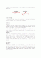[공학기술]FT-IR spectrometer 15페이지