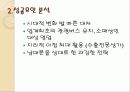 동대문 시장 14페이지