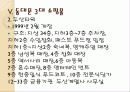 동대문 시장 20페이지