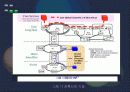 광 통신기술 DWDM 기술 5페이지