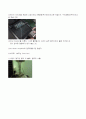 인장실험보고서(Tensile test)  7페이지