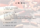 이탈리아의 와인 2페이지