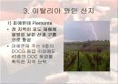 이탈리아의 와인 9페이지