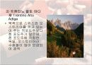 이탈리아의 와인 11페이지