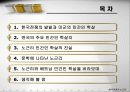 한국 전쟁과 민간인 학살 - 노근리 사건을 중심으로 3페이지