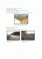 환경을 고려하는 도로 조경 15페이지