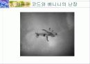 '인생은 아름다워' 영화의 비평 -휴머니즘과 웃음을 중심으로 14페이지