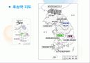 신라의 동요와 후삼국의 형성 11페이지