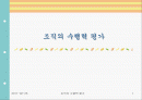 조직의 수행력 평가 1페이지