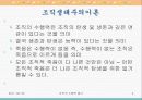 조직의 수행력 평가 4페이지