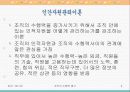 조직의 수행력 평가 5페이지