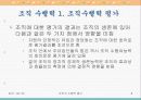 조직의 수행력 평가 8페이지