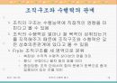 조직의 수행력 평가 13페이지