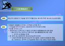 글로벌 기업의 조직구조와 인적자원관리 4페이지