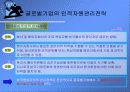 글로벌 기업의 조직구조와 인적자원관리 16페이지